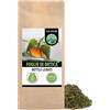 Alpi Nature Tisana Ortica 1kg, Foglie di Ortica Essiccate e Tagliate per Tè, Urtica dioica