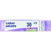 CEMON SRL LEDUM PALUSTRE 30CH GR