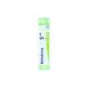 BOIRON SRL BELLADONNA 5CH 80GR 4G