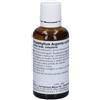 WELEDA ITALIA Weleda Bryophillum Argento Compositum D2 Gocce Medicinale Omeopatico 50 Ml