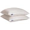 Fabsy Guanciale Letto 2 Pezzi- Set Cuscini Letto in Seersucker con Imbottitura in Microfibra di Poliestere Traspirante- Durevoli-Cuscino per Dormire Regolabile in Altezza (grigio, 60x60cm)