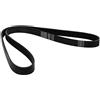 CONTINENTAL CTAM Contitech Cinghia Poly-V 6Pk820