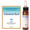 Forza Vitale FIORI MEDITERRANEI CHESTNUT BUD GOCCE 10 ML