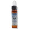 Forza Vitale FIORI MEDITERRANEI GENTIAN 10 ML