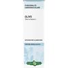 Erba Vita OLIVO SOLUZIONE IDROALCOLICA 50 ML EBV
