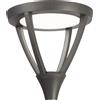 LEDS-C4 Testa lampione Proud 40W 4000K IP66 - 60-9913-Z5-CM