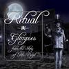 Tempus fugit Glimpses from The Story of Mr. Bogd