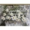 Gardena Quel Mazzolin Di Fiori Canti Della Montagna (Box)
