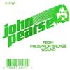 John Pearse GS046PSib Bronzo di Fosforo, Ball End .046