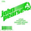 John Pearse GS028PBL Bronzo di Fosforo, Loop End .028