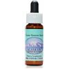 NATUR Srl Ladies Tresses Alaskan Essences 7,4ml