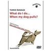 Haqihana DVD : "What do I do...When my dog pulls" - (che fare... se il mio cane tira?)