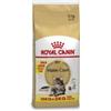 Royal Canin Maine Coon 10kg