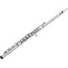 SYMPHONIE WESTERWALD Flauto/ flauto traverso SYMPHONIE WESTERWALD® C, chiavi aperte, chiavi ad anello, piede B, placcato argento, accessori, borsa per il trasporto, servizio di manutenzione