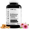 HIVITAL foods Echinacea 7500 mg. 180 capsule vegane per 6 mesi di trattamento. | Estratto di Echinacea Purpurea con il 4% di Polifenoli. Prodotto in Europa da HIVITAL