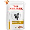 Royal Canin Cat Veterinary Diet Urinary S/O in Paté - Confezione da 85 Gr