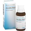 GUNA Aesculus Heel Orale Gtt 4 Dh 1 Flacone Da 30ml