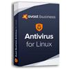Avast Business Antivirus for Linux 1 utente 1 anno ESD