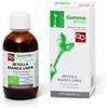 Fitomedical Betulla Bianca Linfa Gemmoderivato 50ml