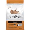Schesir Cat Dry Mantenimento Pollo - 1,5 kg Croccantini per gatti