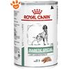 Royal Canin Dog Veterinary Diet Diabetic Special Low Carbohydrate - Lattina da 410 Gr