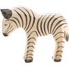 Cucciolo di zebra Ostheimer