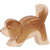 Cucciolo di San Bernardo marrone Ostheimer