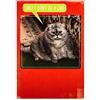 Hallmark Biglietto di auguri di compleanno in studio, con divertente disegno fotografico di gatto e torta