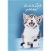Perleberg Biglietto di compleanno di alta qualità con motivo di gatto animale, biglietto di compleanno con busta, 11,6 x 16,6 cm, biglietto di compleanno per una sorpresa riuscita