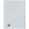 Rexel 25240481 Divisori Alfanumerici 20 Sezioni 4, Grigio