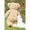 Perleberg Biglietto di auguri Basic Classic - Teddy con coperta - 11,6 x 16,6 cm.