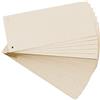 Exacompta Paquet 100 fiches intercalaires horizontales unies perforees nature future - 105x240mm