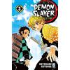 Star Comics Demon slayer. Kimetsu no yaiba (Vol. 3)