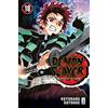Star Comics Demon slayer. Kimetsu no yaiba (Vol. 10)