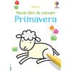 Usborne Primavera. Ediz. illustrata