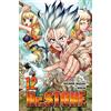 Star Comics Dr. Stone (Vol. 12)