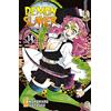 Star Comics Demon slayer. Kimetsu no yaiba (Vol. 14)