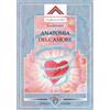 Crisalide Anatomia dell'amore