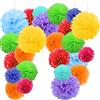 Jonami 24 Pompom Multicolore Decorazioni Feste, Pom Pom Decorativi Colorati, Pompon Carta Velina per Compleanno o Festa di Carnevale -24 Pz-