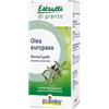 BOIRON Srl OLEA EUROPAEA MACERATO GLICERICO 60 ML INT