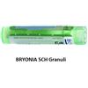 Boiron Bryonia 5ch 80gr 4g
