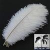 MWOOT 10 Pezzi Piuma di Struzzo, 10-12pollici (25-30cm) Grandi Naturale Piume per la Decorazione Domestica di Nozze, Vacanza Festa (Bianco)