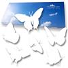 imaggge.com - Adesivi anti-collisione per porte e vetri (18 farfalle) - Evitano urti da parte di uccelli e persone sui vetri