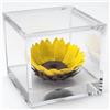 Passionefiori.it Cubo Girasole Stabilizzato 8cm Girasole eterno, Idea Regalo Fidanzata, Mamma, Regalo Natale, Compleanno, Anniversario,