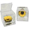 Passionefiori.it Cubo Girasole Stabilizzato 6cm, Girasole eterno, Idea Regalo donna compleanno, Fidanzati, come una rosa stabilizzata vera, Regali Natale, anniversario idea regalo per lei
