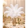 Crenze Creny 10 Pezzi Piuma di Struzzo 12-14pollici (30-35cm) per la Decorazione Domestica Wedding, Festa, Fai da Te