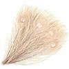 MWOOT 15 Pezzi Naturali Piume di Pavone Pavone Piume di Coda, per i monili Domestici della Decorazione di DIY Carnevale di Venezia Tutti i Festival Halloween Artigianato Forniture (28-32CM) (Bianca)