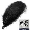 MWOOT 10 Pezzi Piuma di Struzzo, 10-12pollici (25-30cm) Grandi Naturale Piume per la Decorazione Domestica di Nozze, Vacanza Festa (Nero)