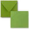 FarbenFroh by GUSTAV NEUSER Set di 25 biglietti singoli, quadrati, da 15 x 15 cm, con buste, in carta kraft, verde chiaro, ideali per biglietti di auguri e molto altro, della serie FarbenFroh di Gustav Neuser