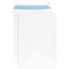 Netuno 50 buste a sacco bianche formato B5 17,6 x 25 cm 90g buste commerciali con stampa interna blu Promail senza finestra con strip adesivo per lettere corrispondenza aziendale documenti